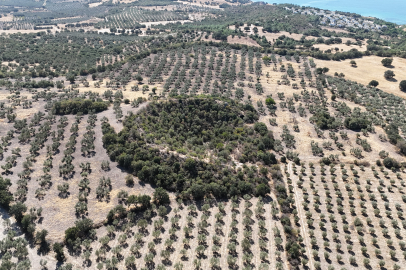 2 bin 400 yıllık tiyatro gün yüzüne çıkarılmayı bekliyor